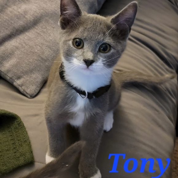 Meet your Posher, Lori - Picture 4 of 4